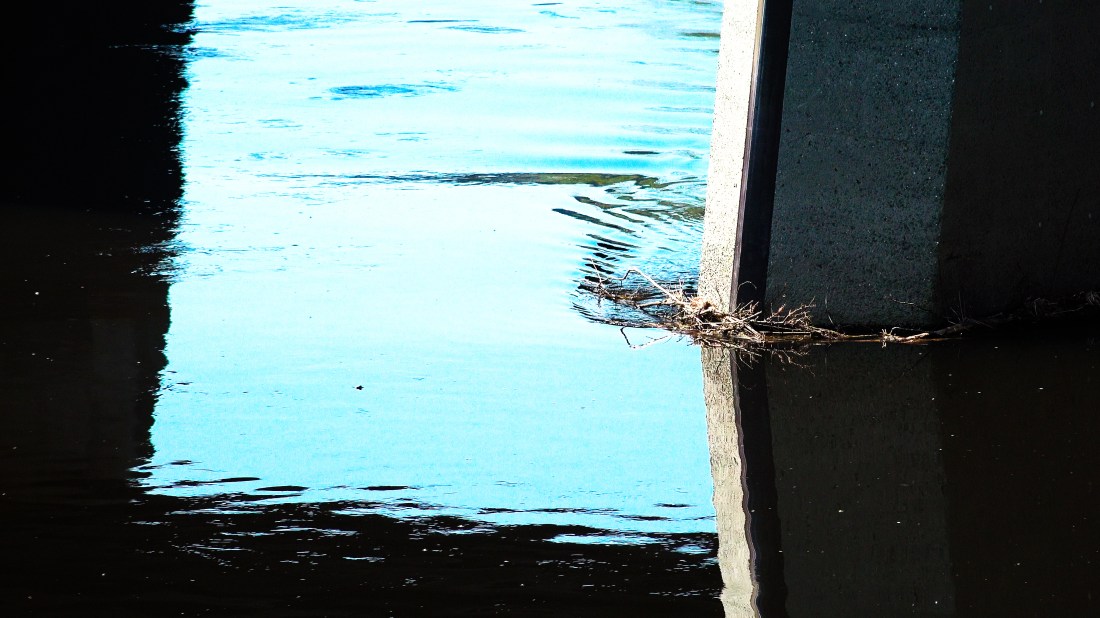 Clip0027.MXF.19_04_23_01.Still002.00_01_19_08.Still009